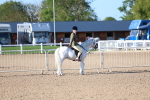 SBM_07855