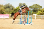 SBM_003945