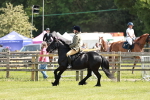 SBM_07137