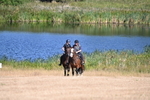 WJ6_7431