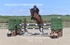 BPP_3129