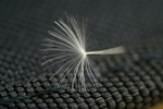 Parachute On The Side