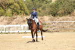 SBM_003008