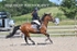 BPP_3414
