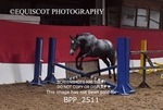 BPP_2511