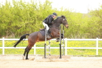 SBM_005620