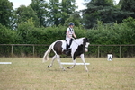 WJ6_5357