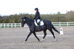 SBM_003314