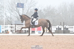 225-Lucy.Goodman-Queenie.S portfolio