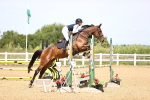 Class 9 British Novice/90cm portfolio