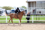 SBM_03356