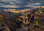 Hance Canyon Storm