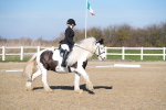 SBM_002021