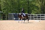 WJ6_8751