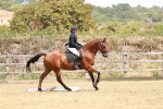 SBM_003602