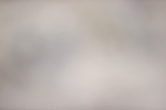 SBM_004222