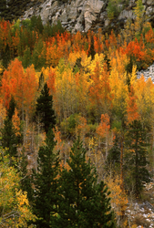 Fall Colors: The Eastern Side portfolio