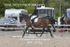 BPP_6765