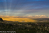 Golden Spike Golden sunset