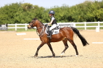 SBM_008644