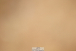 240317A-155354-07861