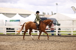 SBM_00553