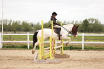 SBM_008665