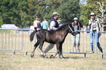 WJ6_4450
