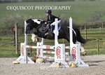 CLASS 6 Stepping Stones 128/ 138cms Handicap portfolio