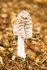 20131002-3K8A6728