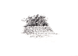 Bonum in Via