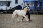 SBM_004579