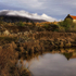 The Shepherds Hut