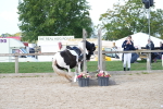 SBM_16820