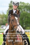 BPP_8865