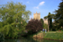 Wells _ S013
