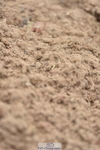 230810A-133838-01190
