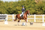 SBM_017623