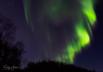Aurora -Alaska portfolio