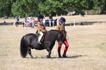 WJ6_9109