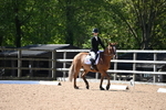 WJ6_9019