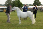 SBM_00524