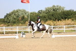 SBM_009246