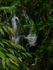 Hidden Falls