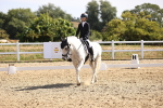 SBM_009221