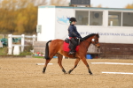 SBM_000245