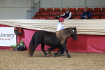 SBM_17426