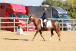 SBM_009194