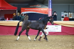 SBM_16159