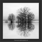 Mirrored